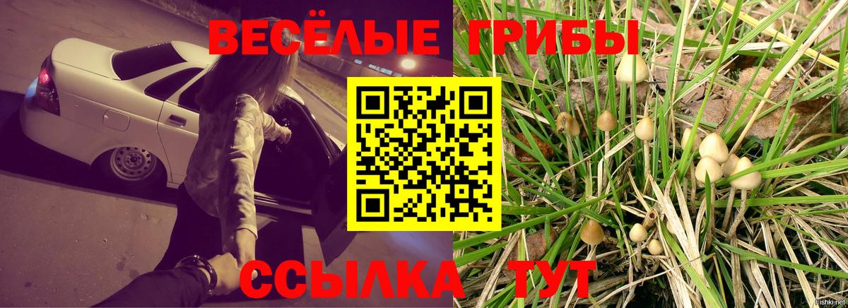 Саянск  Галлюциногенные грибы Magic Shrooms  Вход с VPN 